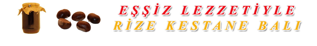 Arclk Bilgileri