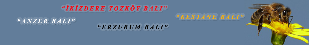 Rize Bal Dnyas